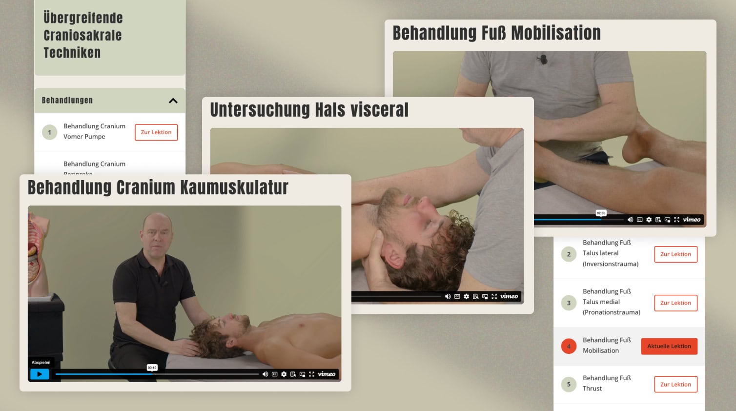 Ganzheitliche Behandlungstechniken für Physiotherapeuten