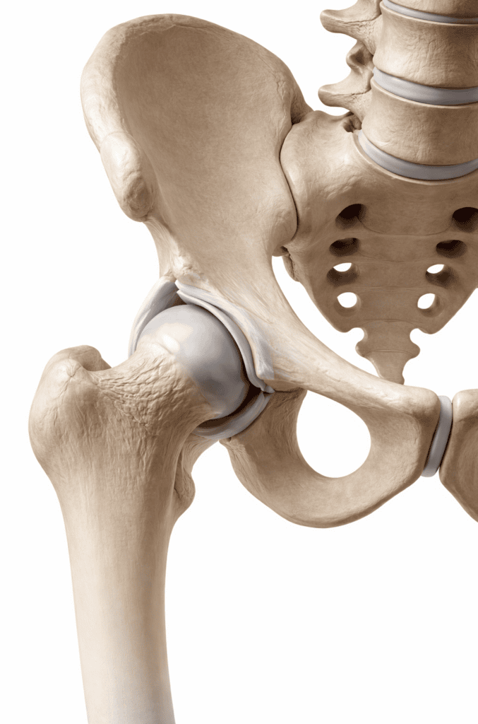 Osteopathie Ausbildung online für Mediziner